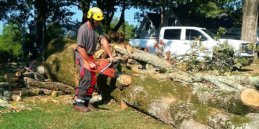 How to Kill a Tree Stump