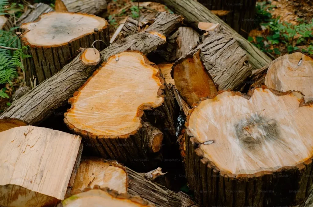 How to Remove Multiple Tree Stumps at Once